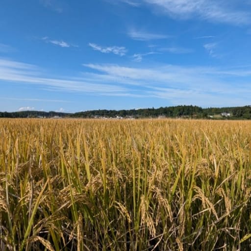 Thumbnail of post image 185