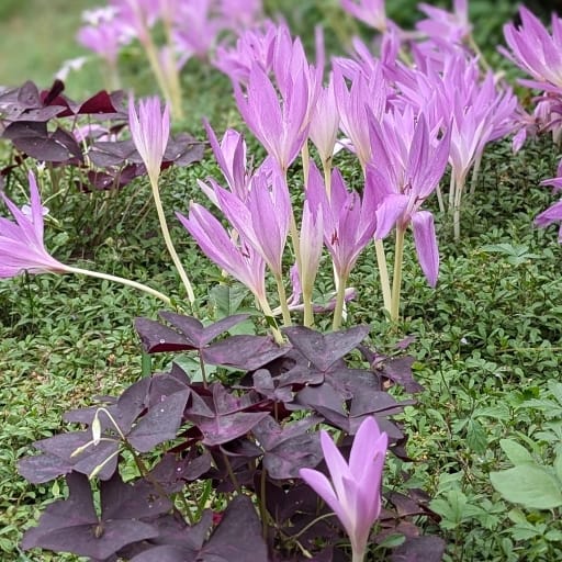 Thumbnail of post image 088